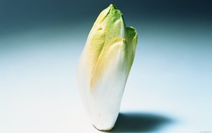 方案核心概念详解